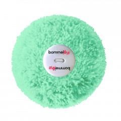 Wechselbommel Mint